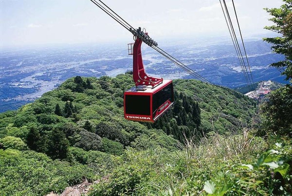 【千葉県内発】 開運日に行く!当選金額38億円以上!「宝くじが当たる神社」de当選祈祷!金運アップ🎯ミステリー3